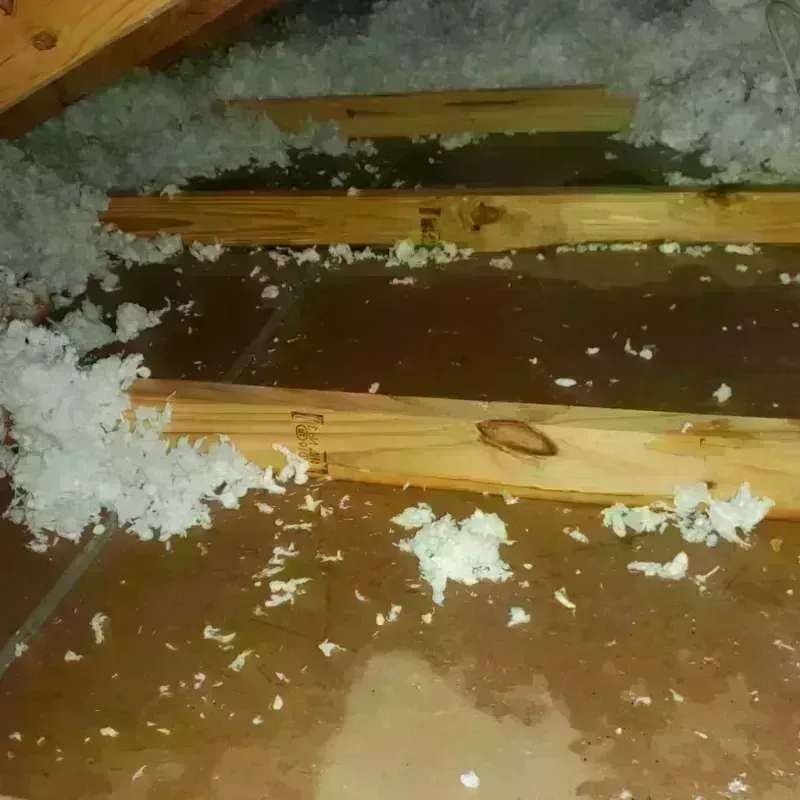 Attic Water Damage in Champlain, NY