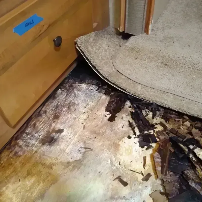 Best Wood Floor Water Damage Service in Champlain, NY